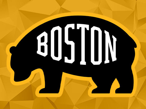 Boston Bruins
